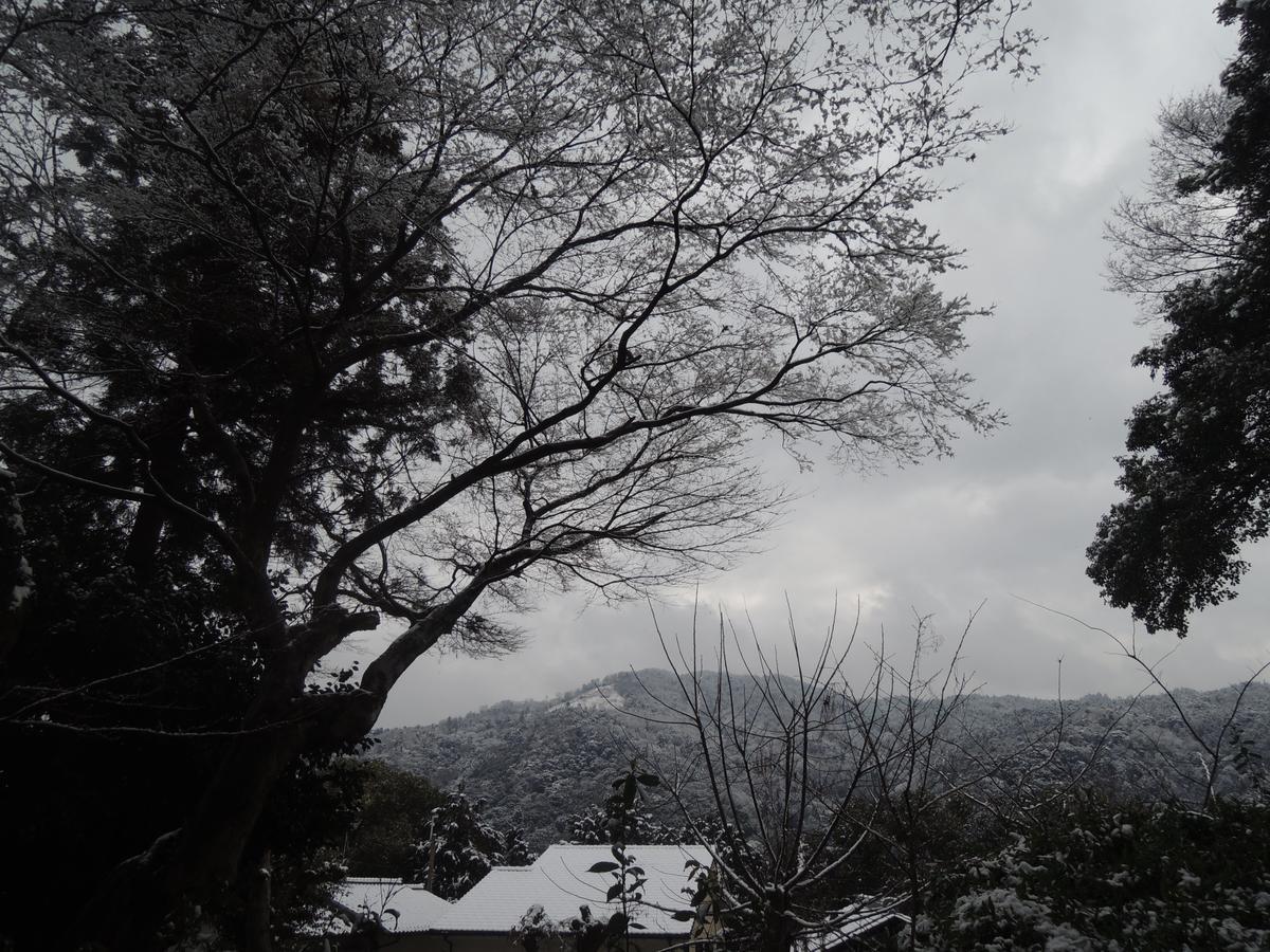 Ryokan Inn Yoshida-Sanso Kiotó Kültér fotó